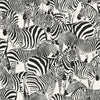 Brewster Home Fashions Origin Design Department Jemima Zebra Black Wallpaper