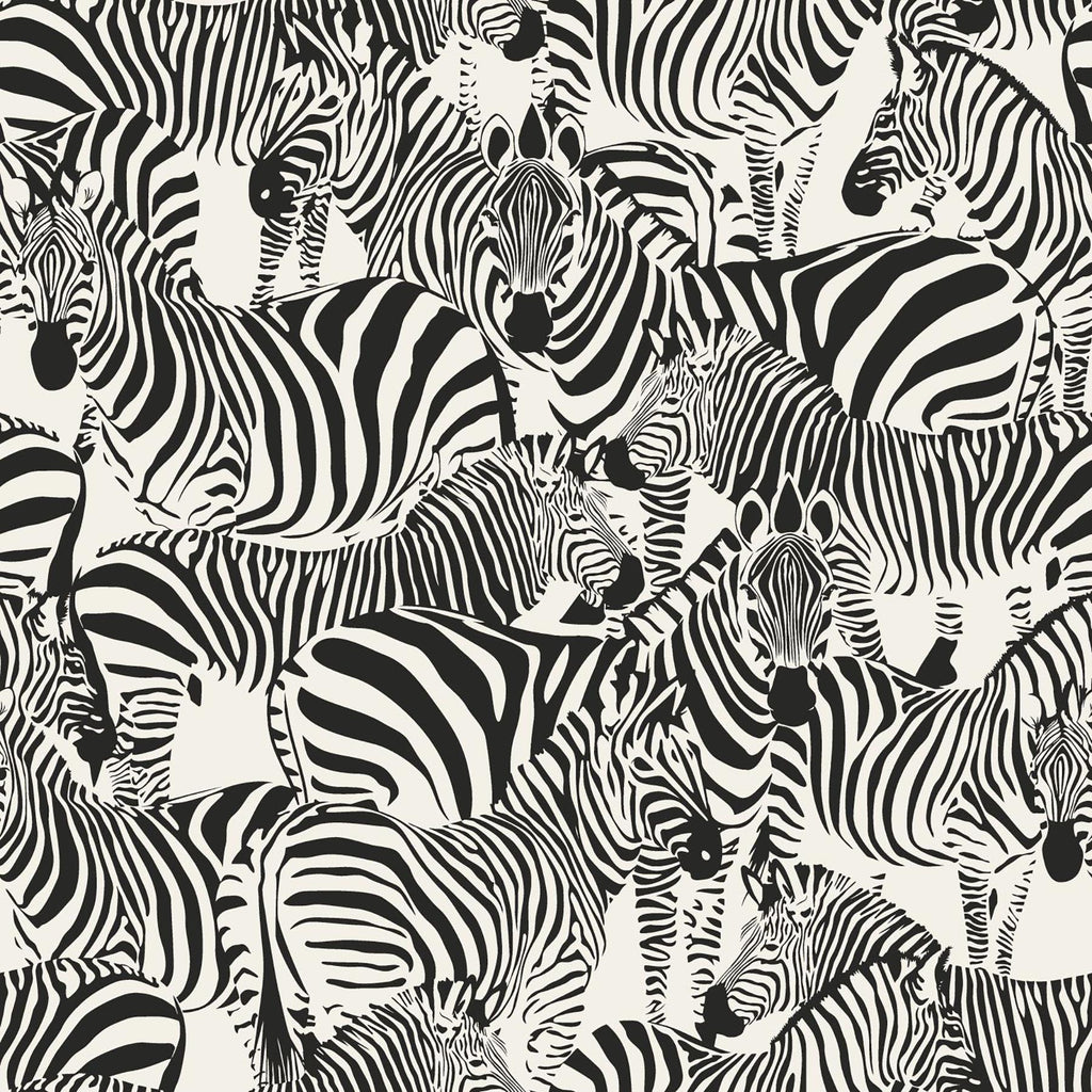 Brewster Home Fashions Jemima Zebra Black Wallpaper