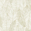 Brewster Home Fashions Esta Home Design Department Canales Inked Leaves White Wallpaper