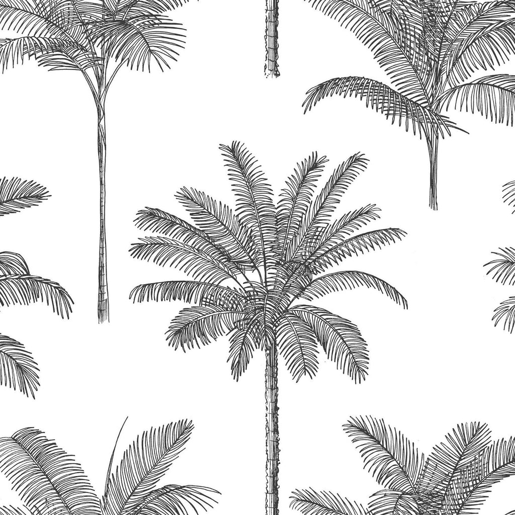 Brewster Home Fashions Taj Charcoal Palm Trees Wallpaper