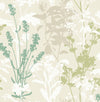 Brewster Home Fashions Advantage Nature 2811-24573 Green Wallpaper