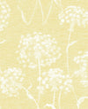Brewster Home Fashions Carolyn Yellow Dandelion Wallpaper