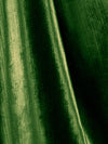 Aldeco Mirage Turtle Green Fabric