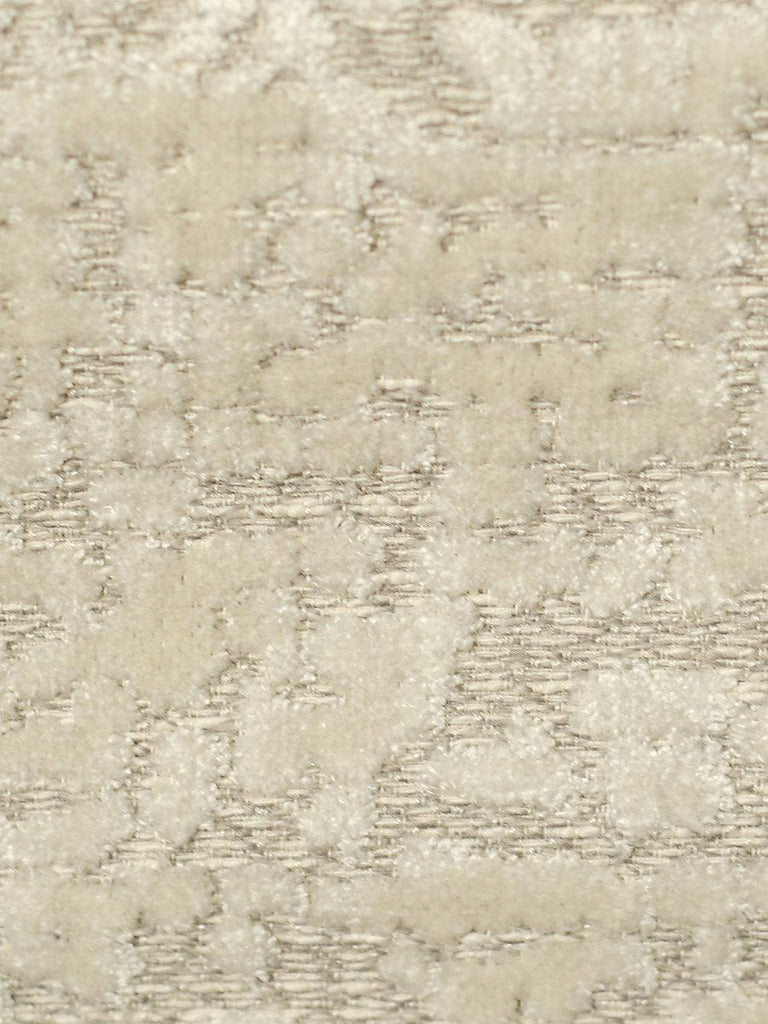 Aldeco Paradise Velvet Light Cream Gray Fabric