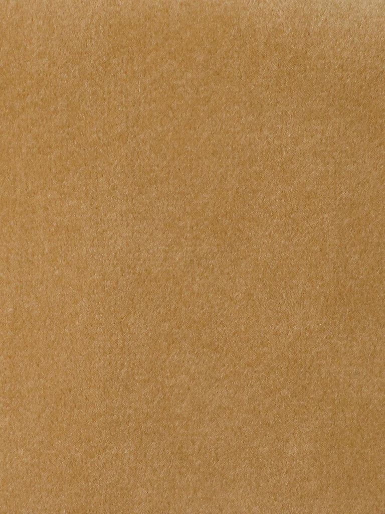 Aldeco Safety Velvet Latte Fabric