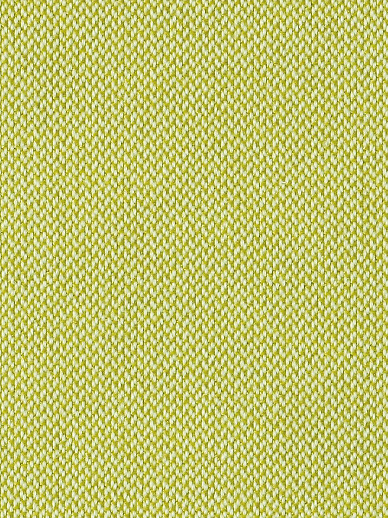 Christian Fischbacher Sonnen-Klar Green Apple Fabric