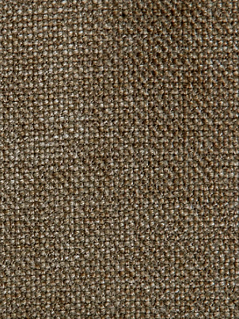 Aldeco Tulu Brown Fabric