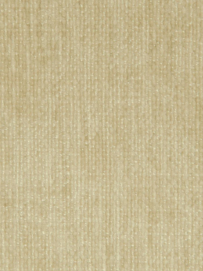 Aldeco Bumber Fr Plaza Taupe Fabric