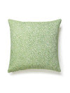 Scalamandre Flurry 22 X 22 - Leaf Pillow