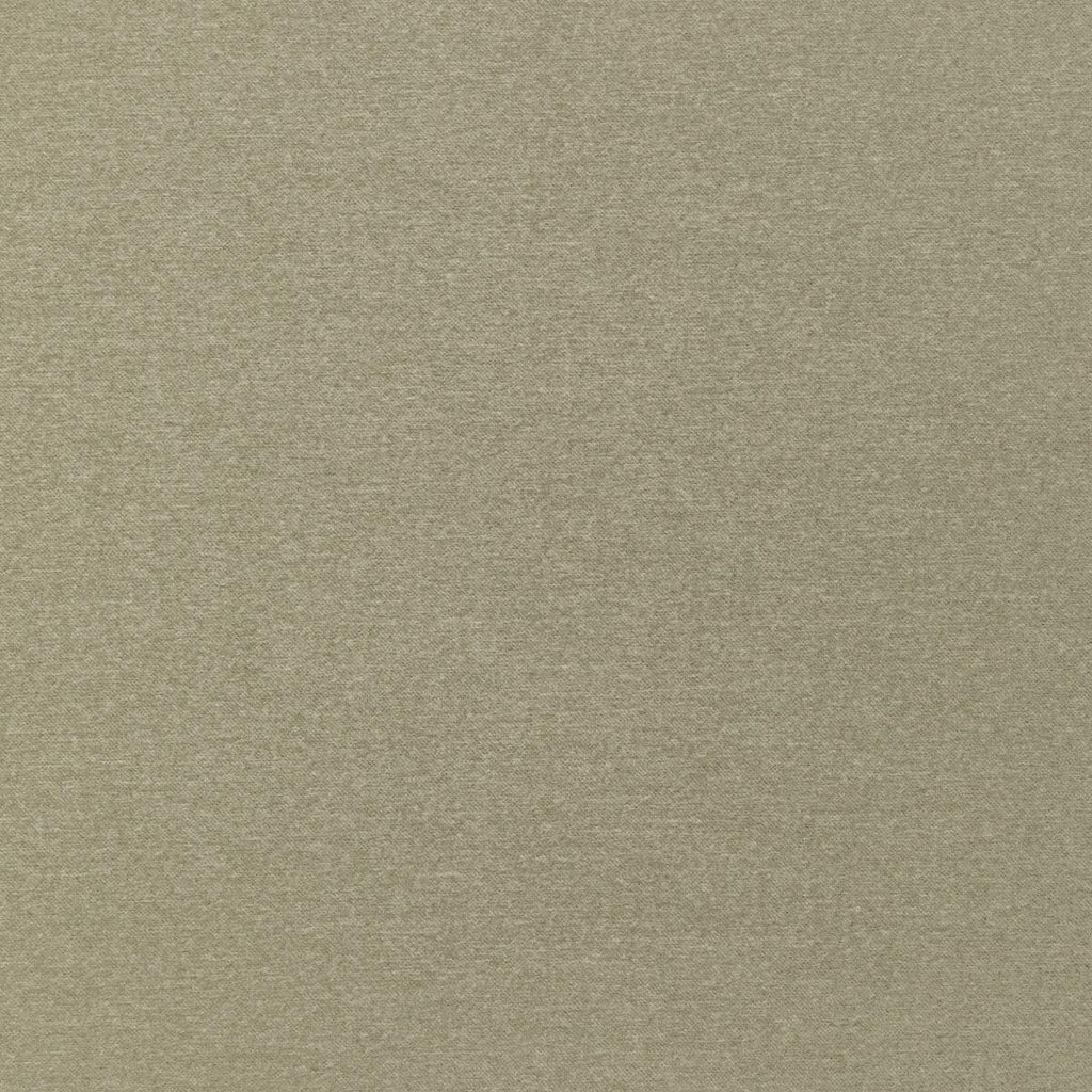 Kravet KRAVET SMART 36110-1123 Fabric