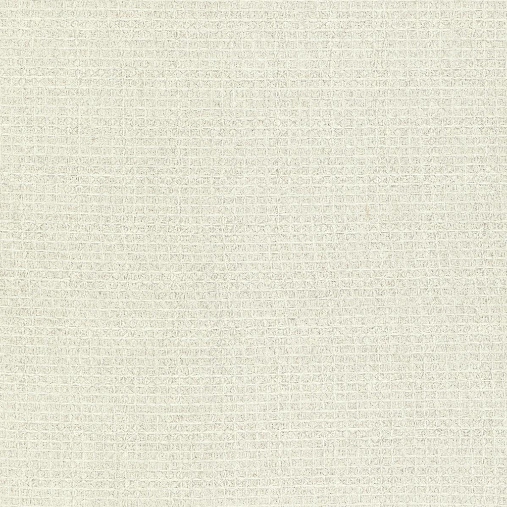 Kravet 4807 1 Fabric