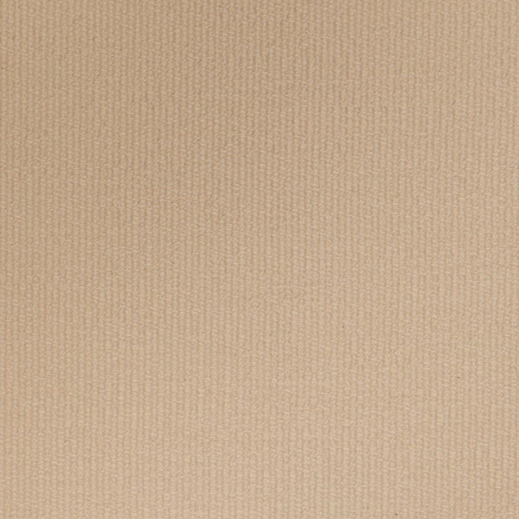 Lee Jofa ENTOTO WEAVE FLAX Fabric