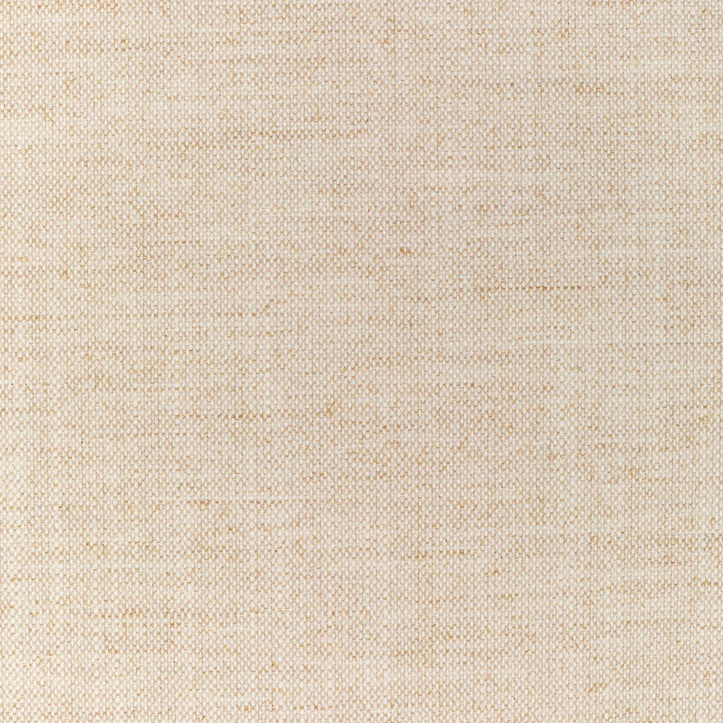 Kravet KRAVET SMART 36112-1161 Fabric