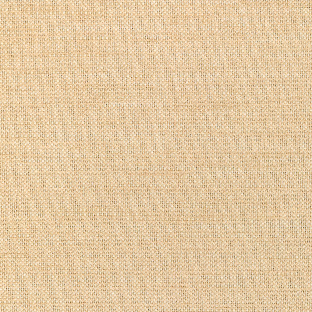 Kravet KRAVET SMART 36302-116 Fabric