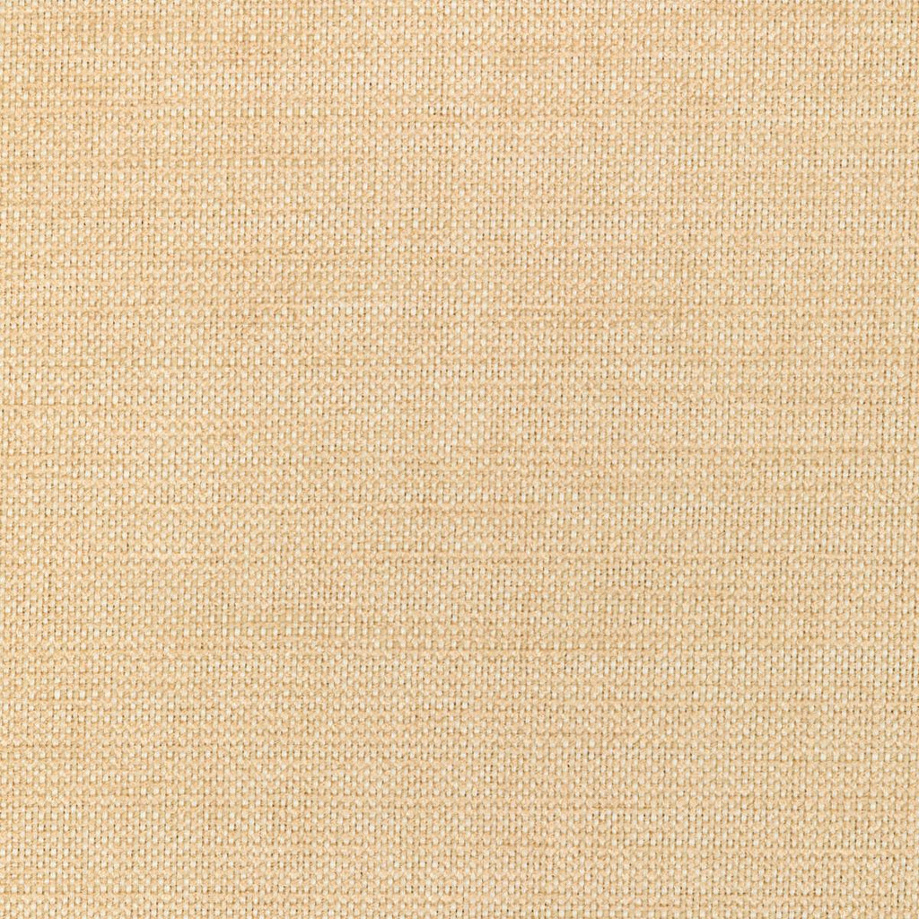 Kravet 36302 116 Fabric