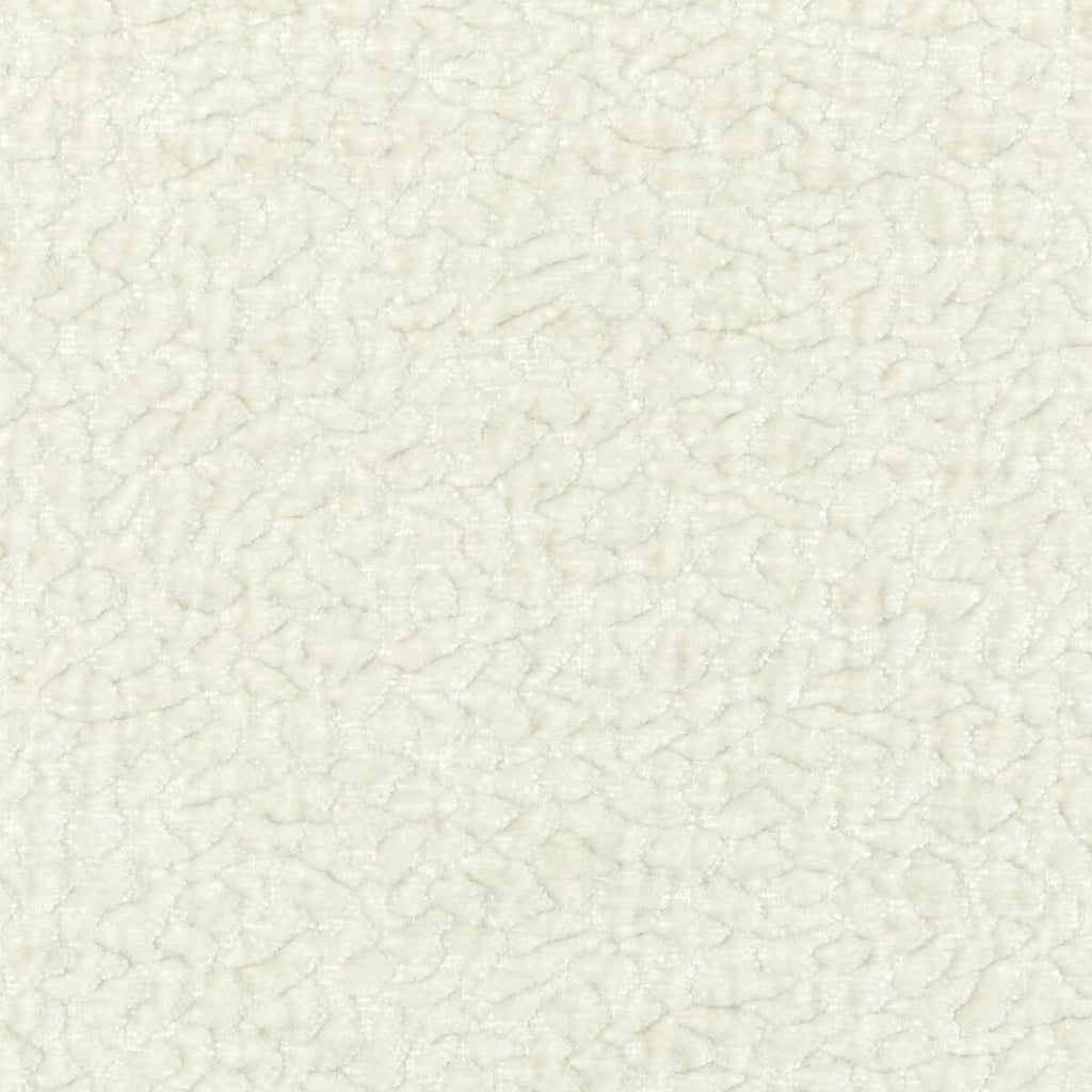 Kravet 36596 101 Fabric