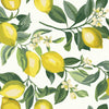 Roommates Lemon Zest Peel And Stick Yellow Wallpaper