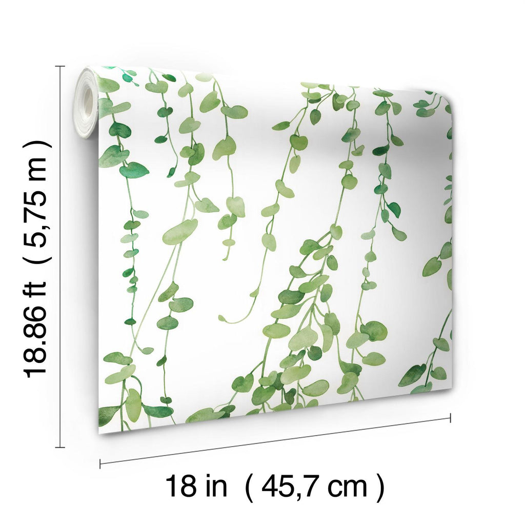 RoomMates Hanging Watercolor Vines Peel & Stick white/green Wallpaper