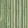 Roommates Bamboo Peel And Stick Green Wallpaper