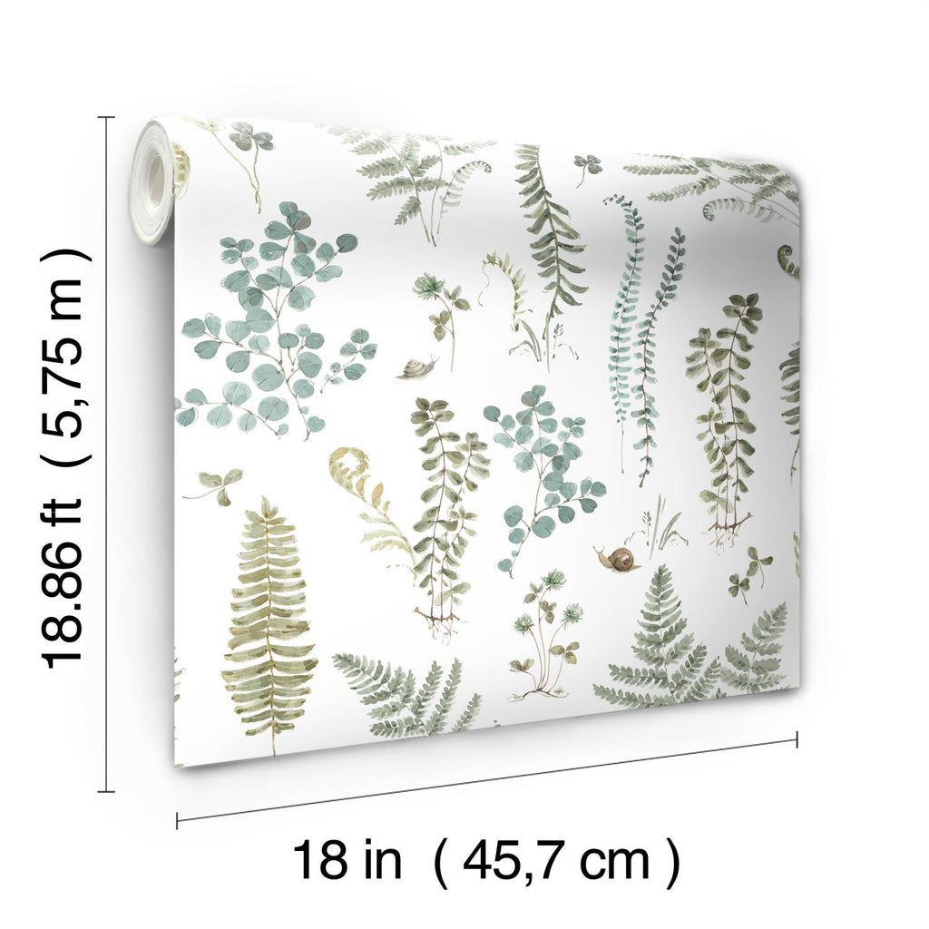 RoomMates Fern Study Peel & Stick green/white Wallpaper