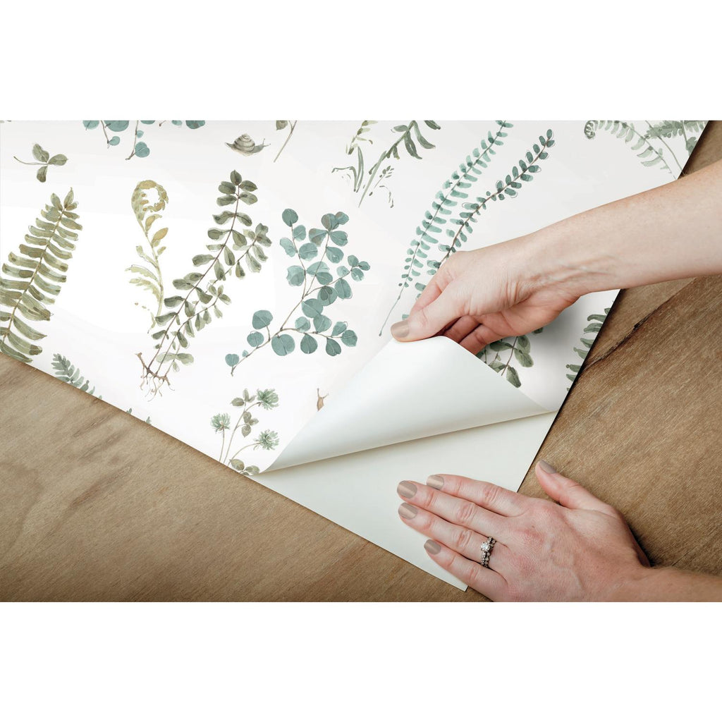 RoomMates Fern Study Peel & Stick green/white Wallpaper