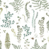 Roommates Fern Study Peel And Stick Green Wallpaper