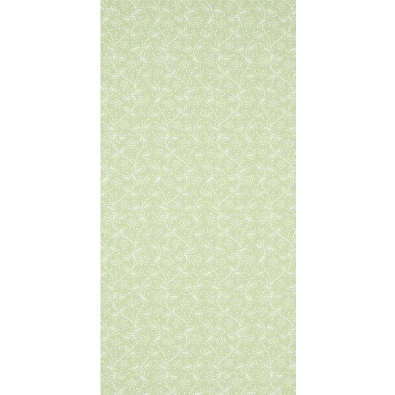 Schumacher Darby Leaf Wallpaper