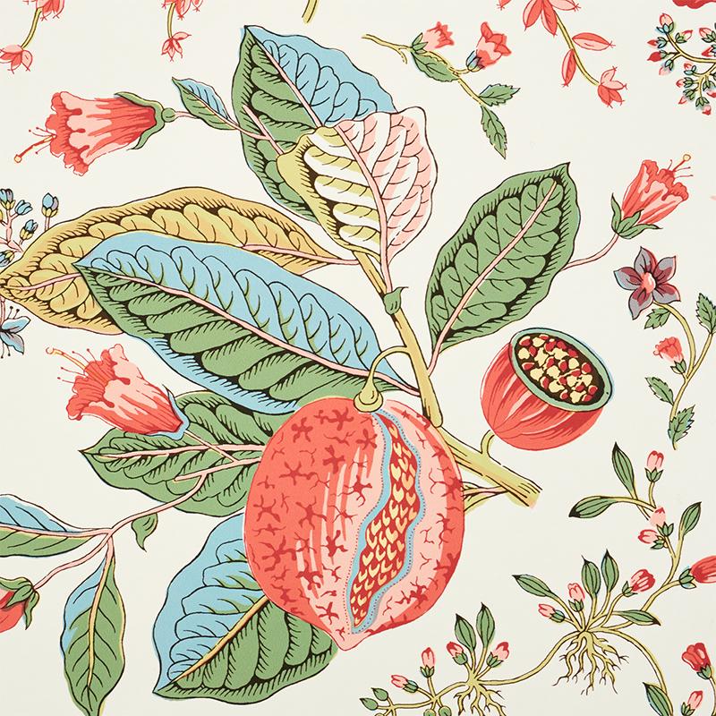 Schumacher Pomegranate Botanical Document Wallpaper