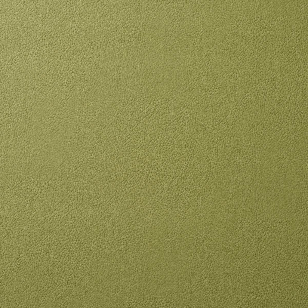 Schumacher Vegan Leather Indoor/Outdoor Moss Fabric