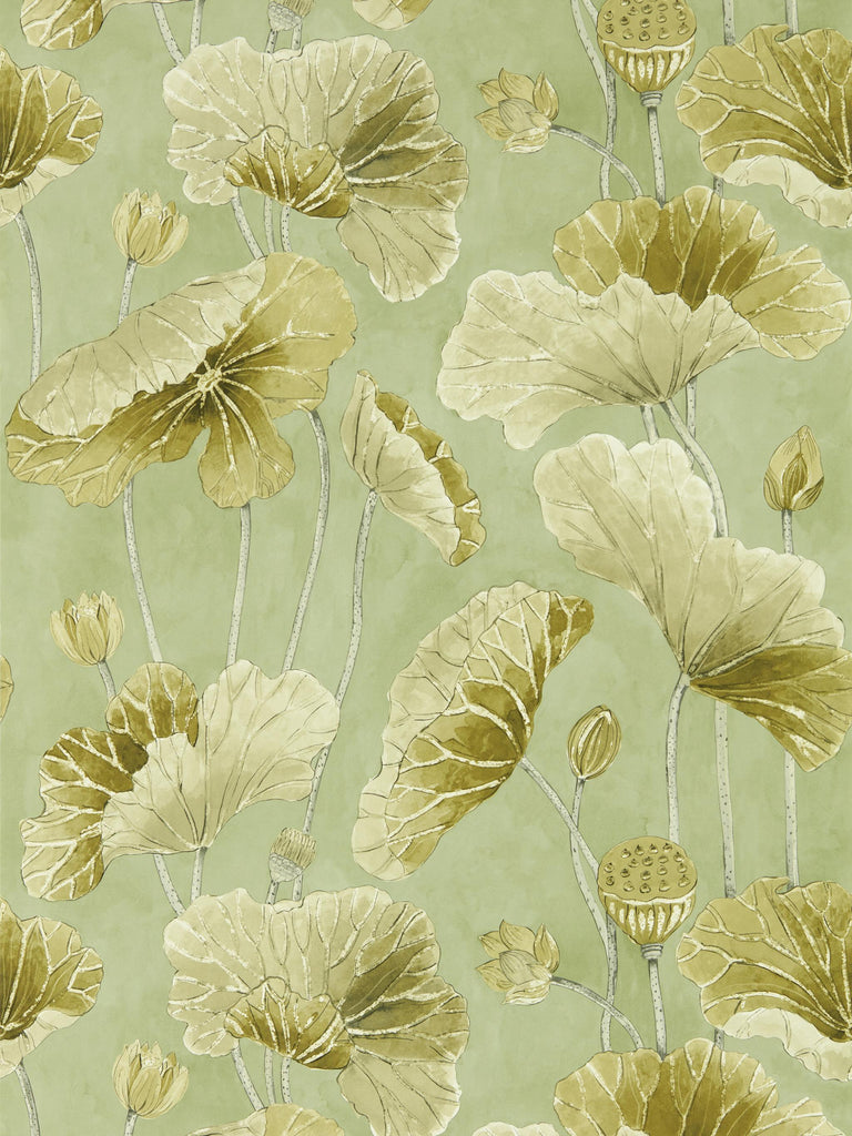 Sanderson Lotus Leaf Oriental Green/ Olive Wallpaper