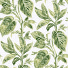 Brewster Home Fashions Green Caryota Peel & Stick Wallpaper