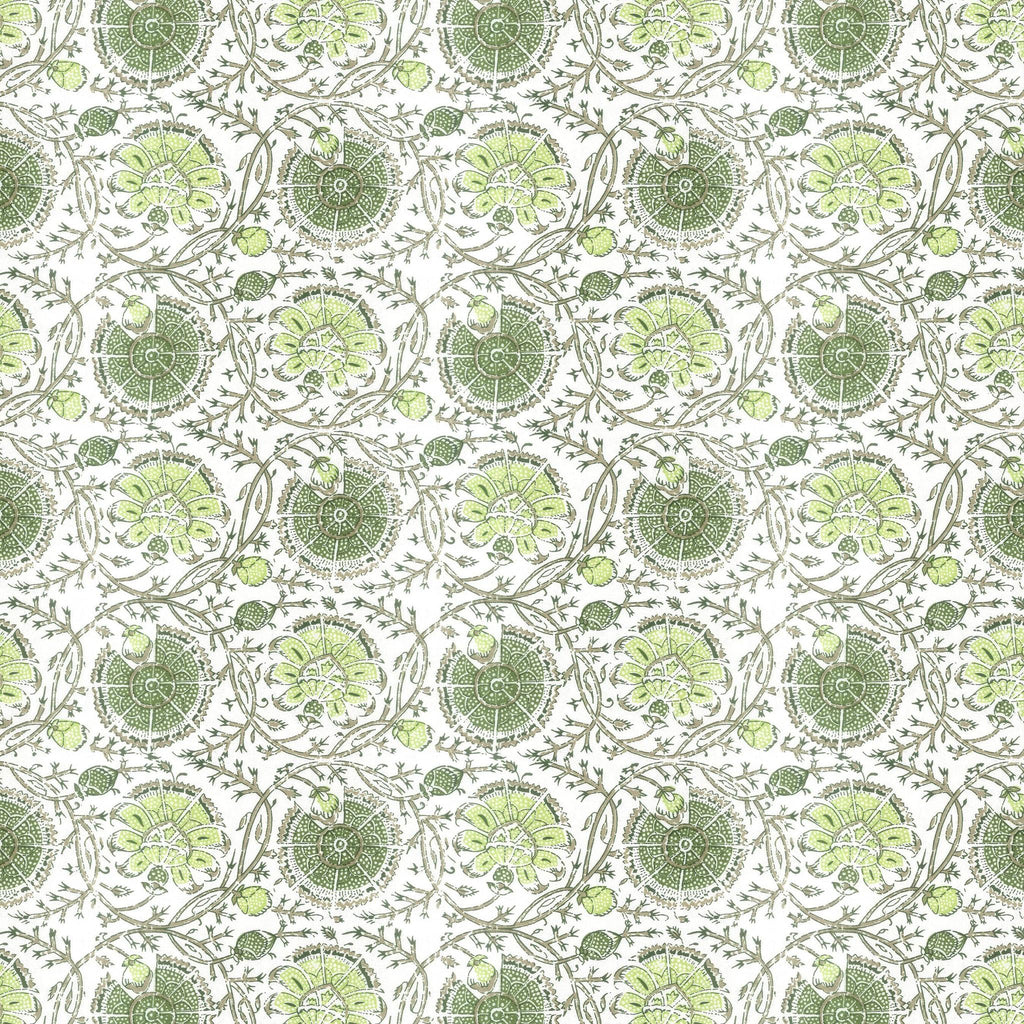 Stout GIBERTINI APPLE Fabric