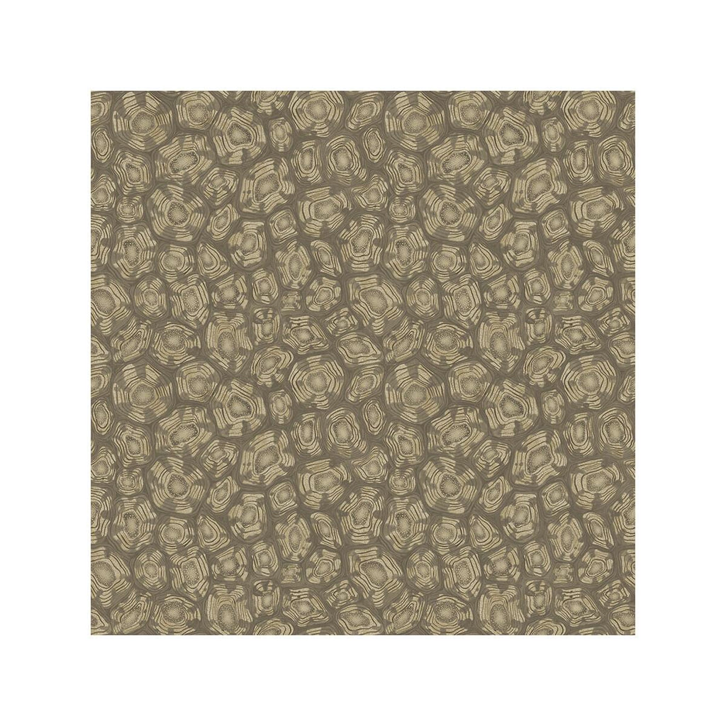 Cole & Son Savanna Shell Gilver Wallpaper