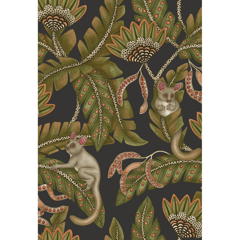 Cole & Son Bush Baby Spgrn&Orng/Blck Wallpaper