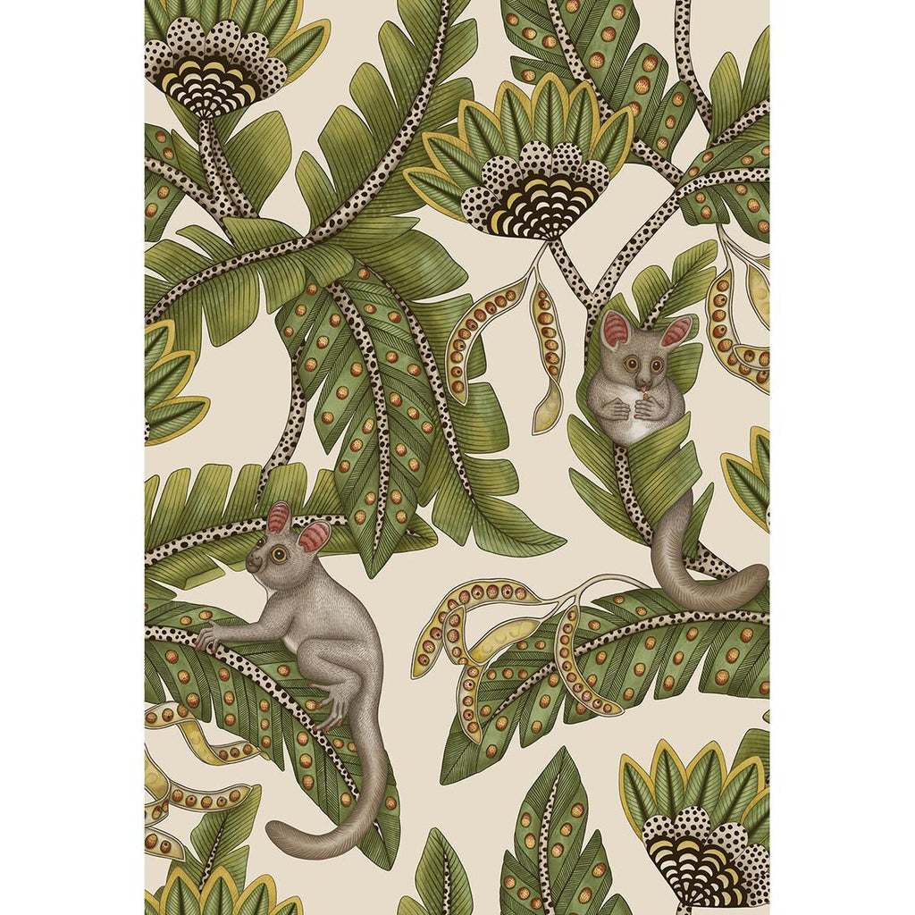 Cole & Son Bush Baby Sprgrn&Mrgld/Stn Wallpaper