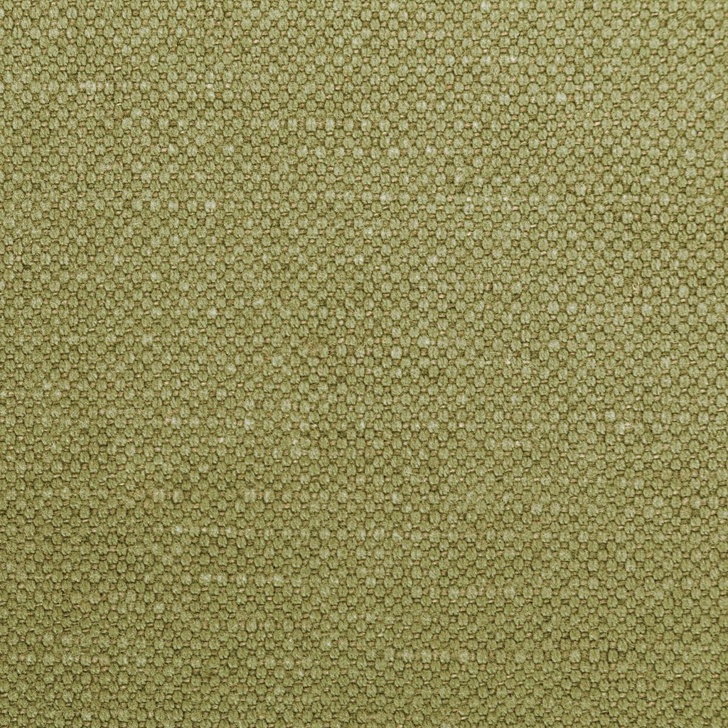 Kravet CARSON DILL Fabric