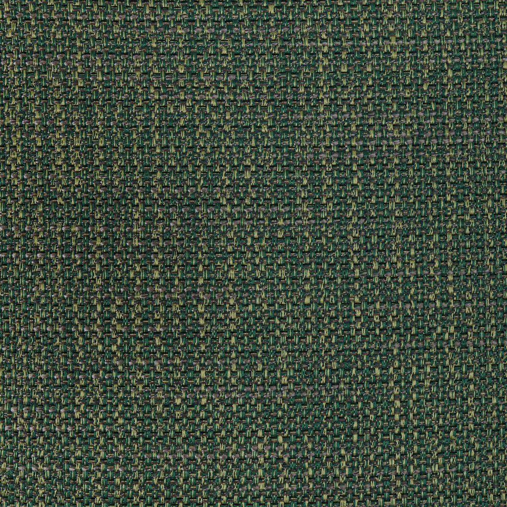 Kravet LUMA TEXTURE FOREST Fabric