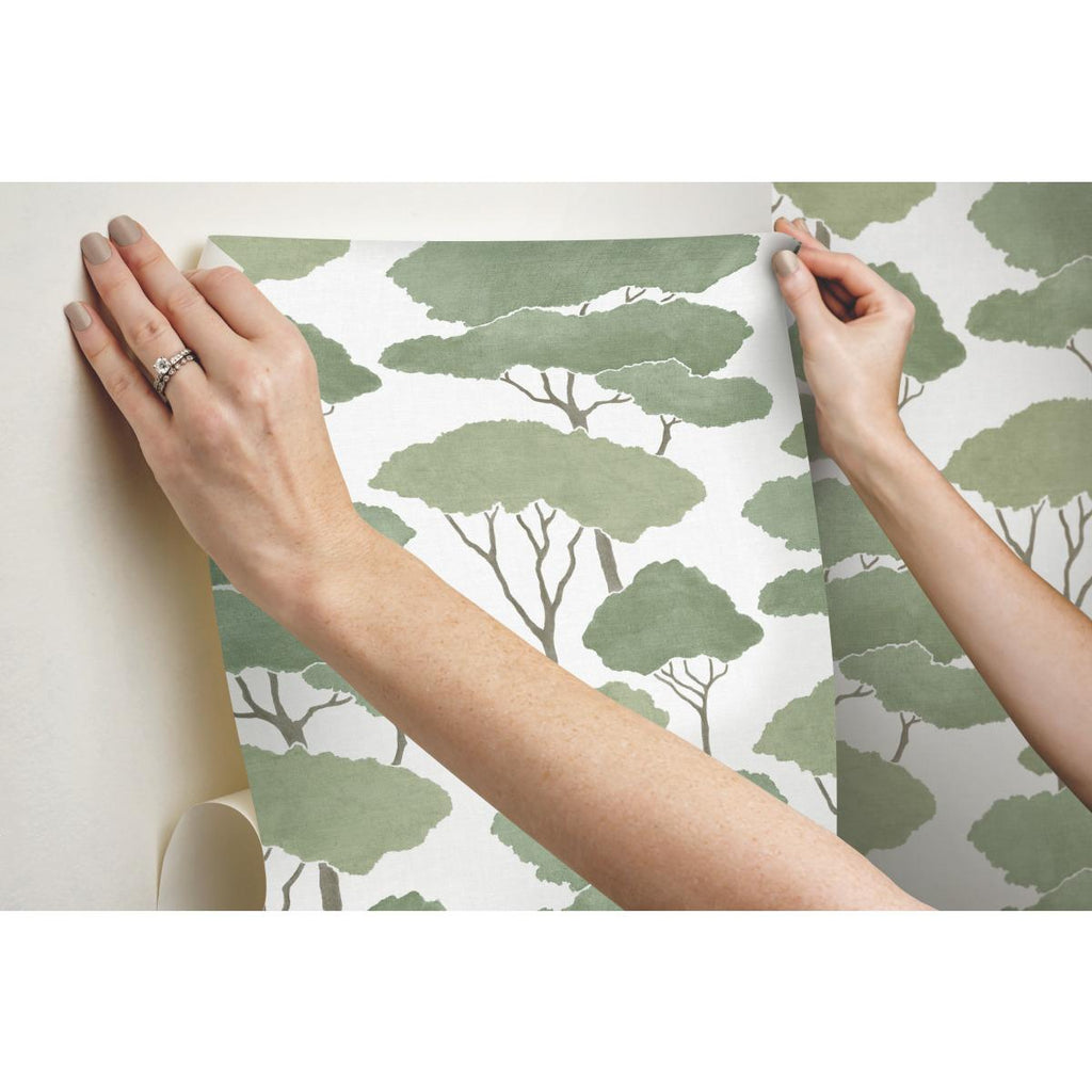 RoomMates Umbrella Pines Peel & Stick green/brown Wallpaper