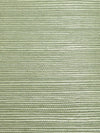 Scalamandre Organic Sisal Sea Glass Wallpaper