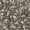 Seabrook Acanthus Trail Charcoal Wallpaper