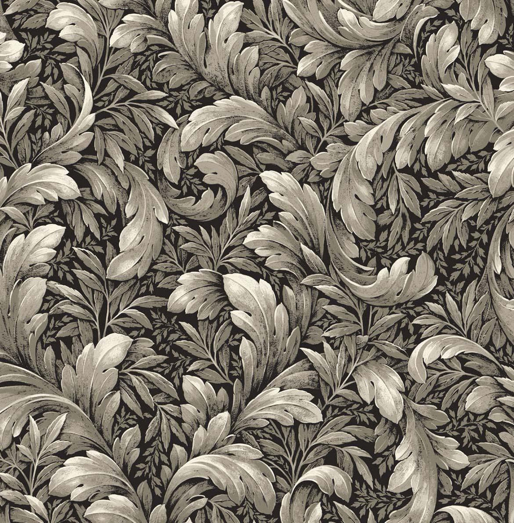 Seabrook Acanthus Trail Black Wallpaper