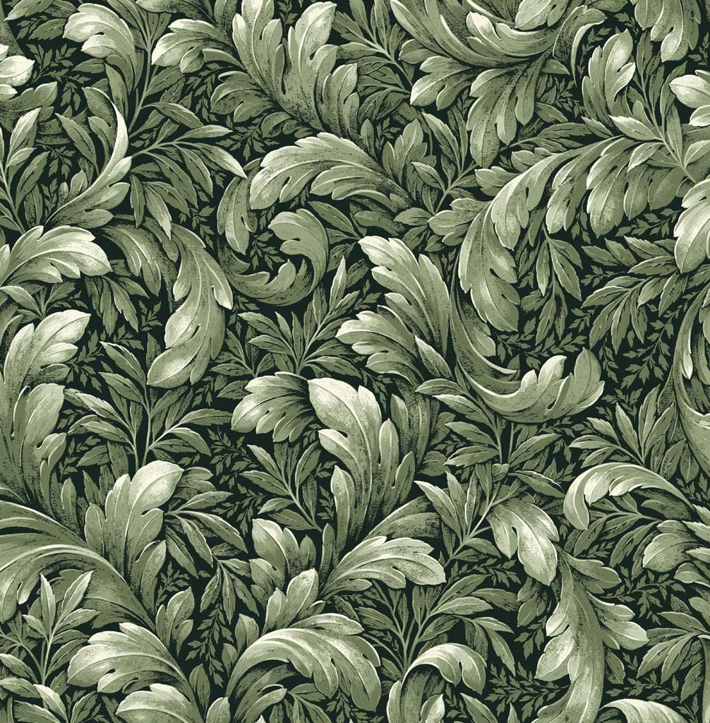 Seabrook Acanthus Trail Green Wallpaper