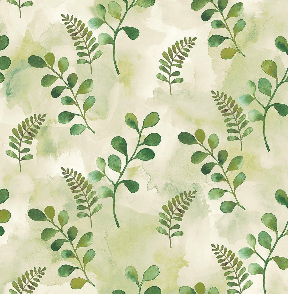 Seabrook Woodland Walk Summer Fern Wallpaper