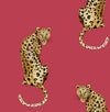 Seabrook Leopard King Red Wallpaper