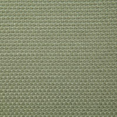 Pindler RUTH SAGE Fabric