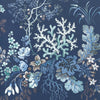 Maxwell Kilburn'S Coral (Wp) #03 Ocean Blue Wallpaper