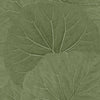 Brewster Home Fashions Esta Home Design Department Xylem Large Leaves Olive Wallpaper