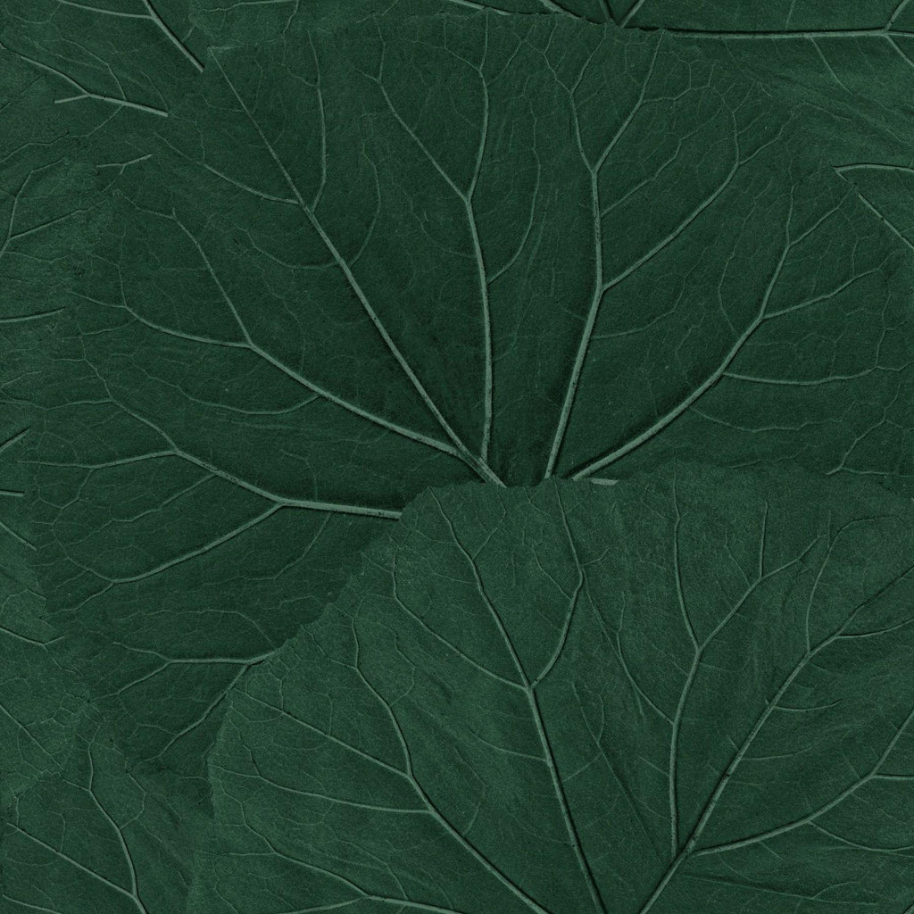 Brewster Home Fashions Xylem Evergreen Large Leaves Wallpaper