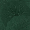 Brewster Home Fashions Esta Home Design Department Xylem Large Leaves Evergreen Wallpaper