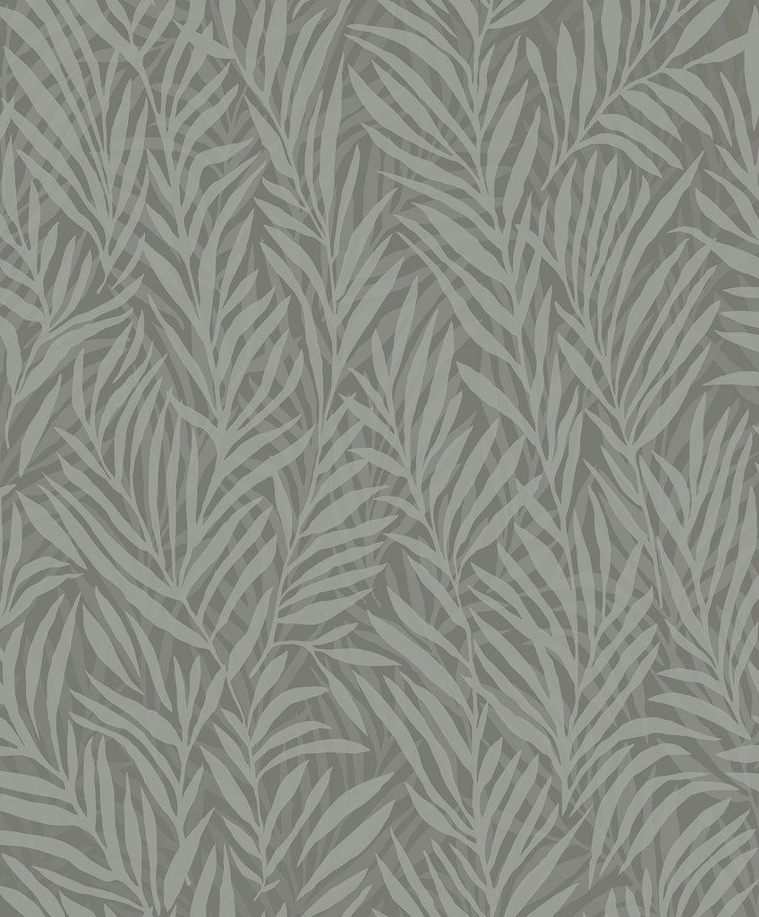 Brewster Home Fashions Holzer Dark Green Fern Wallpaper